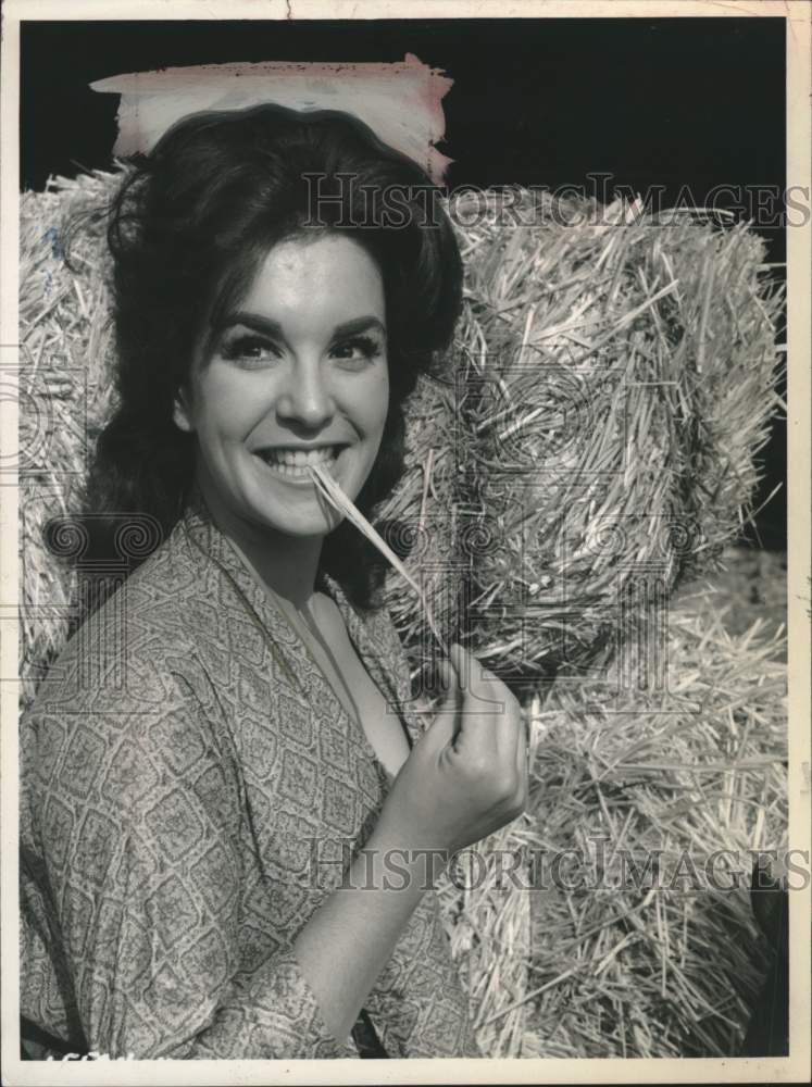 1962 Press Photo Television actress Anita Sands poses in front of hay bales - Historic Images