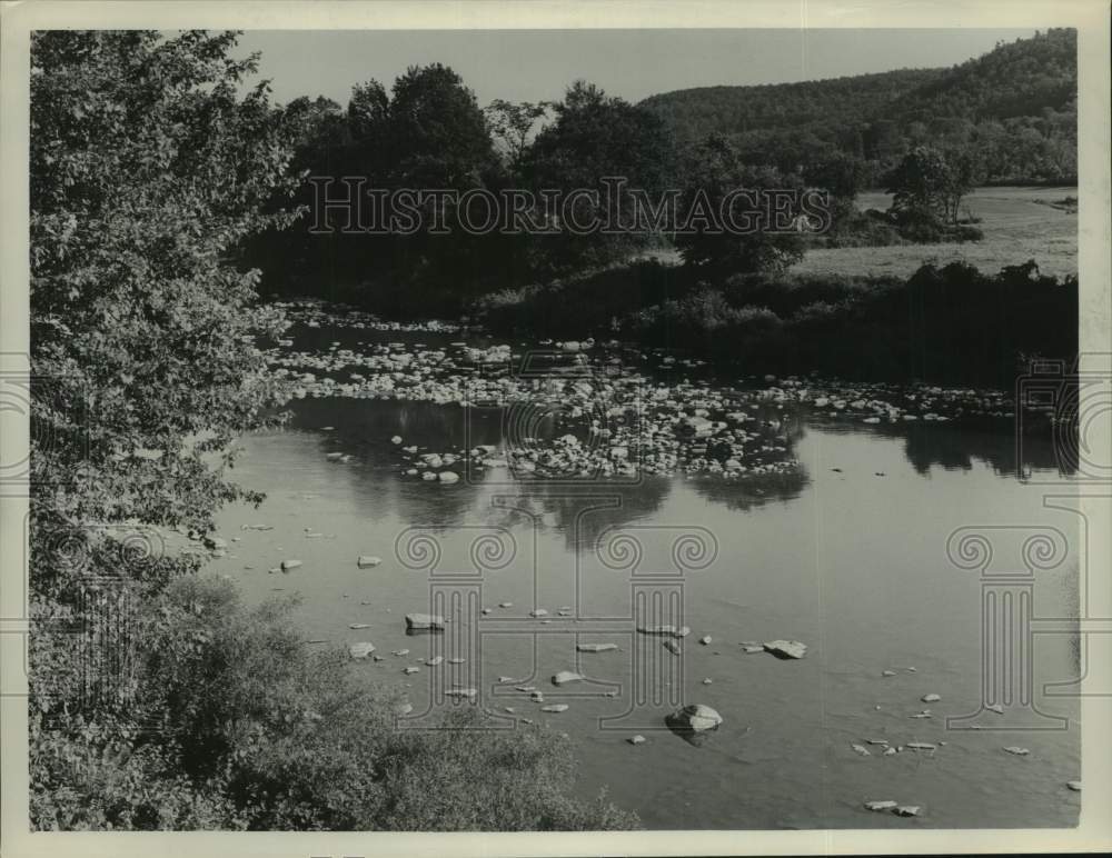 1961 The water is calm on Schoharie Creek in rural Schoharie, NY - Historic Images