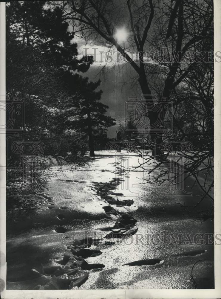1974 Press Photo Winter scene at Washington Park, Albany, NY. Footprints in snow - Historic Images
