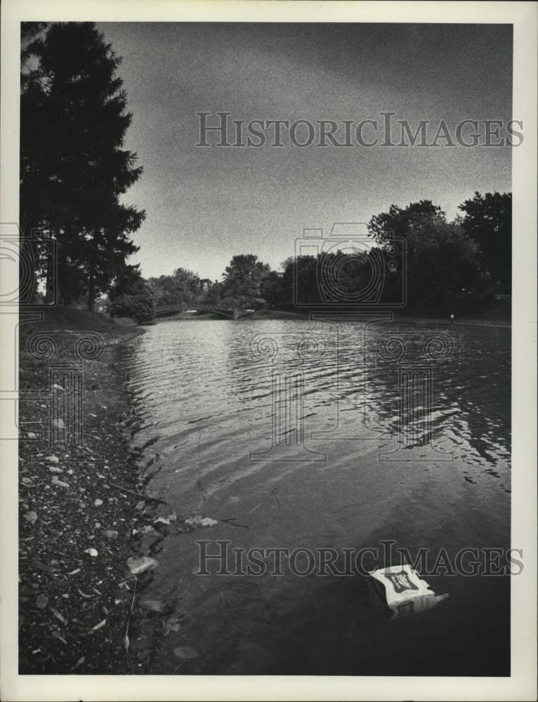 1974 Empty case of beer floats in Washington Park Lake, Albany, NY - Historic Images