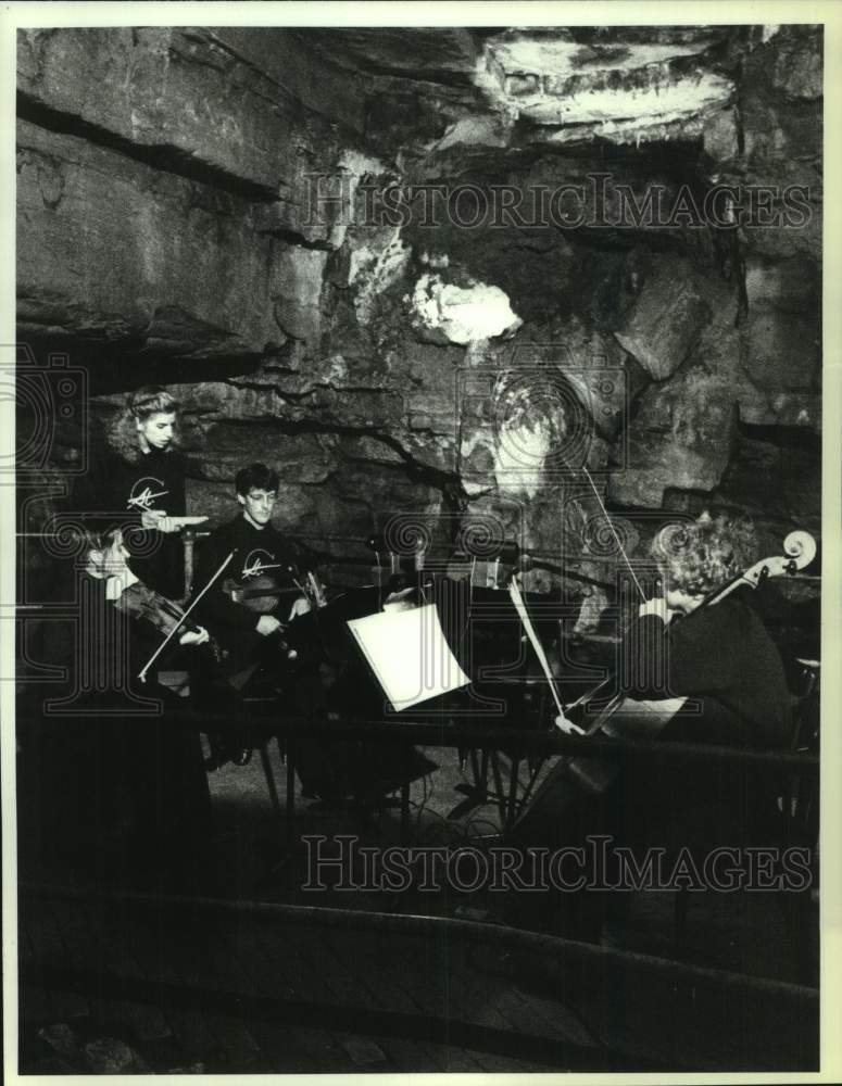 1991 Press Photo St Cecelia Chamber Orchestra plays concert in Howe Caverns, NY- Historic Images