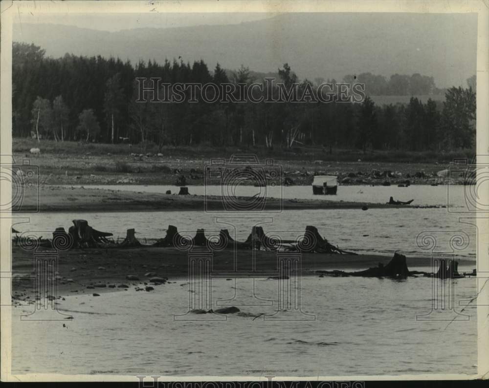 1962 Press Photo Tree stumps stick above low water, Sacadaga Reservoir, New York - Historic Images