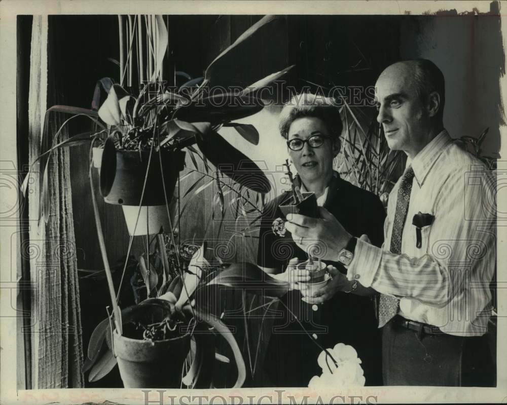 1972 Mr. &amp; Mrs. Charles McFarland with house plants in New York - Historic Images