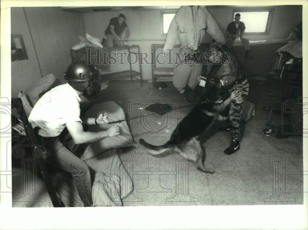 1994 Press Photo Police dog training session at Albany County Jail, New York - Historic Images