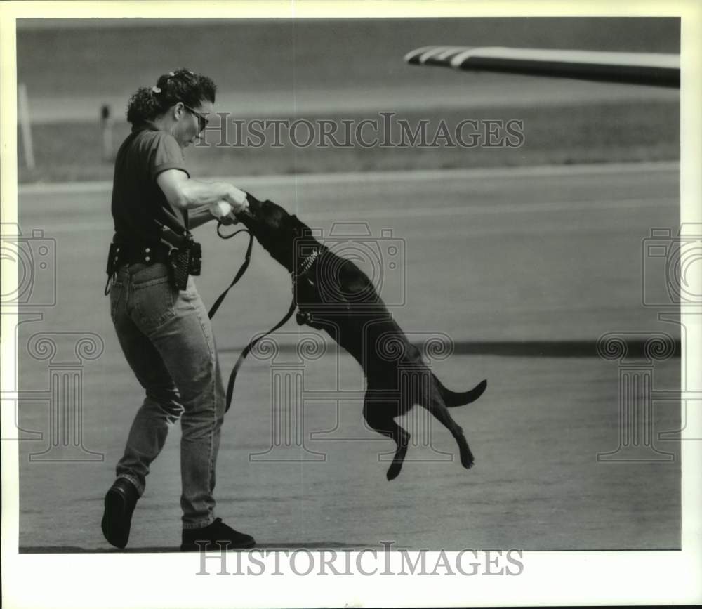 Press Photo Police dog training seminar at Albany County Airport, New York - Historic Images
