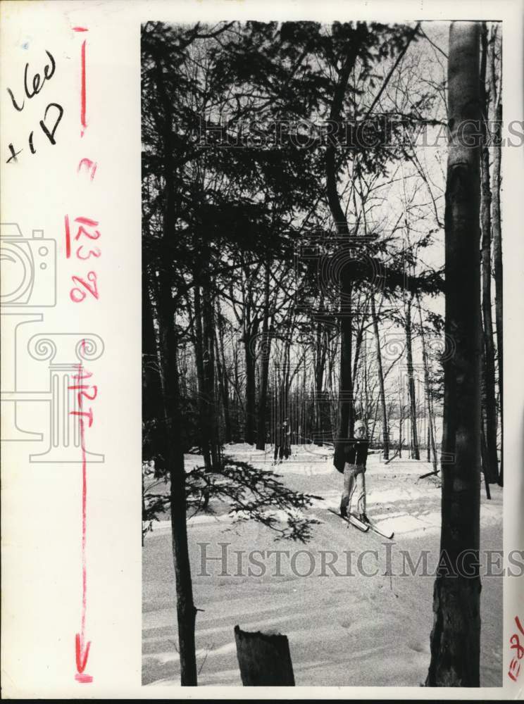 1981 Press Photo Cross-country skier on wooded trail in New York - tua69287 - Historic Images