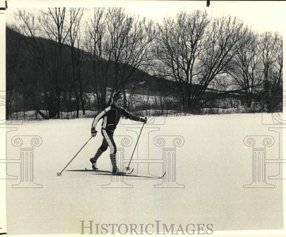 1982 Press Photo Lone figure cross-country skiing in New York - tua73902- Historic Images