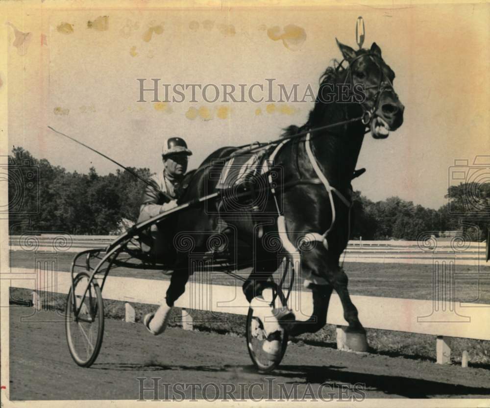 1964 Press Photo Ralph Baldwin is sulky with Speedy Scot on New York racetrack- Historic Images