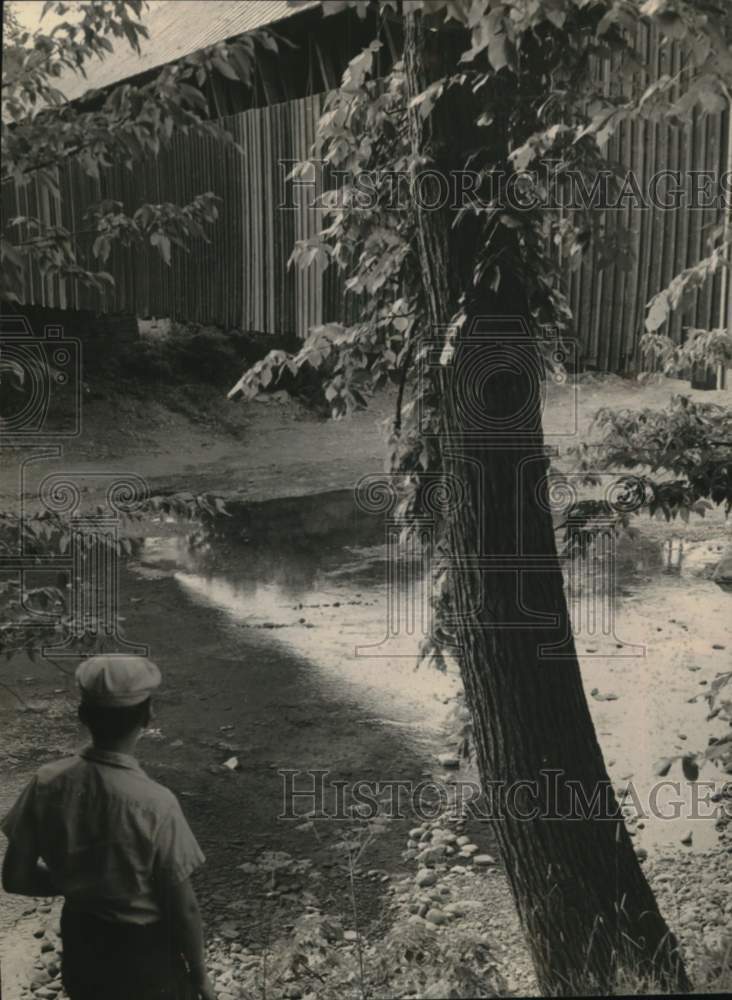 1962 Blenheim Bridge spans Schoharie Creek in upstate New York-Historic Images