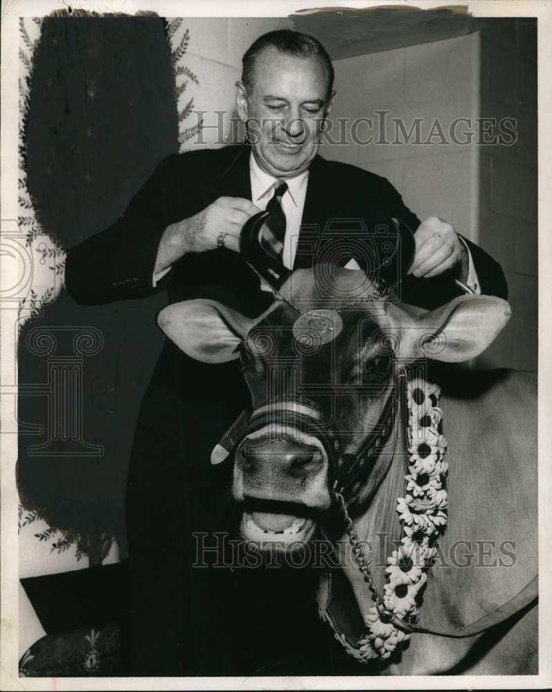 1961 Harold Comfort with Elsie the Borden Cow in New York-Historic Images
