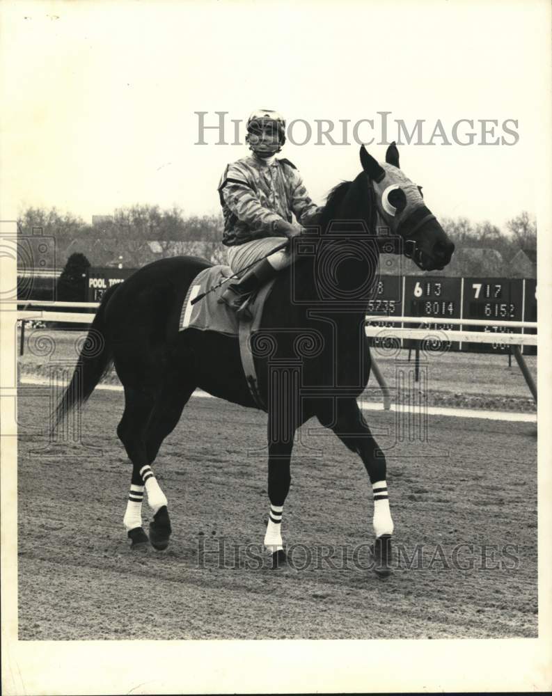 1977 Press Photo Jockey Ruben Hernandez on horse at New York race track - Historic Images