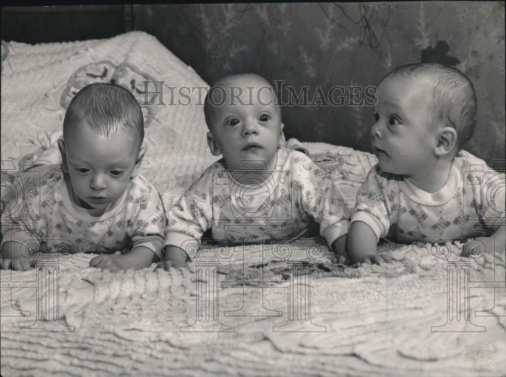 1952 Press Photo The Slauson Triplets of Sherwood Park - tub14047- Historic Images