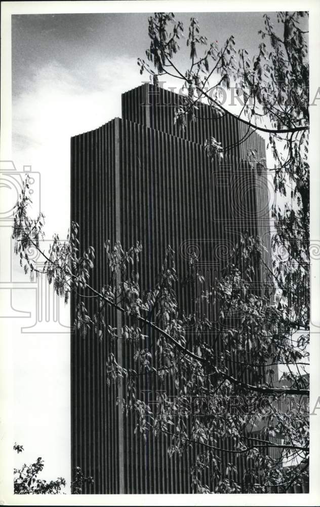 1990 Press Photo Blossoming Trees on Madison Avenue, Albany, New York - Historic Images