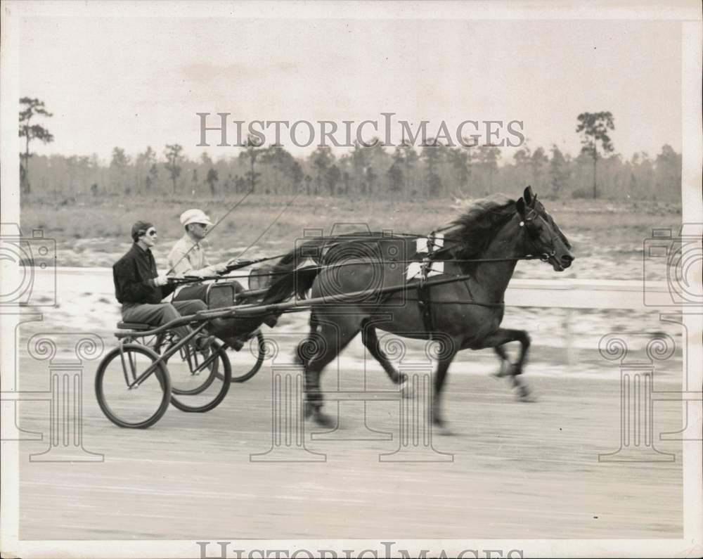 1939 Press Photo Mr. &amp; Mrs. E. Roland Harriman &amp; Their Harness Horses in Orlando - Historic Images