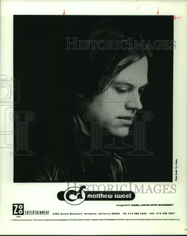 1993 Press Photo Pop music artist Matthew Sweet - tup00359 - Historic Images