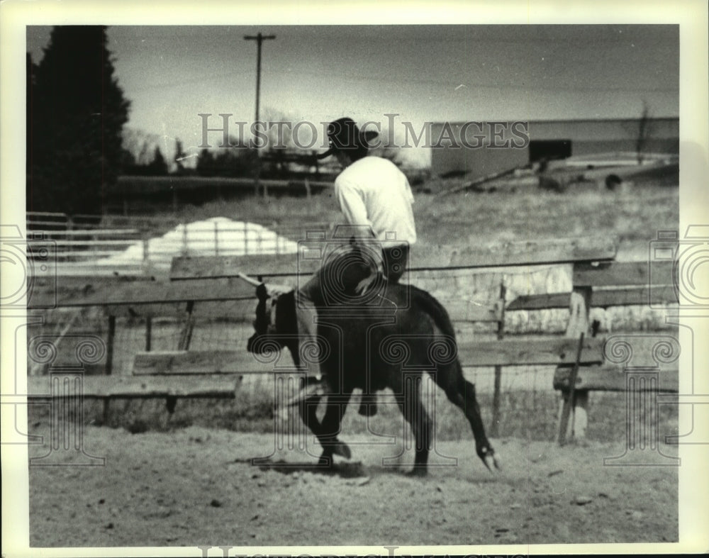 1988 Press Photo Rodeo Cowboy Shaun Quinn rides a steer, Schuylerville, New York - Historic Images