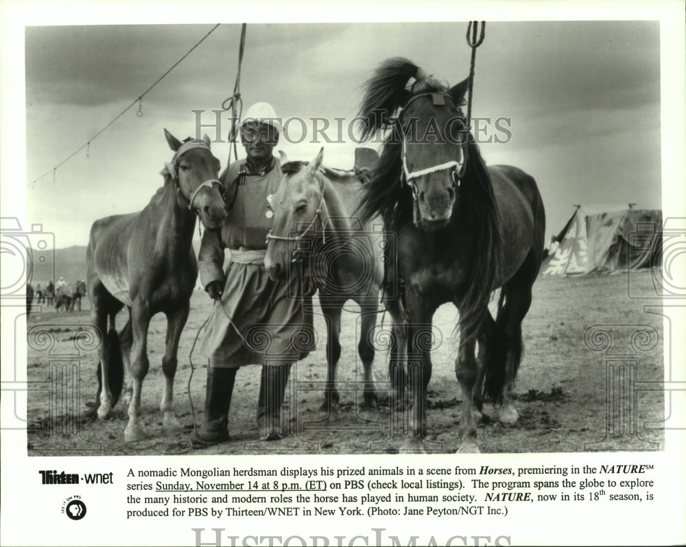 Press Photo A nomadic Mongolian herdsman poses with his horses - tup00855 - Historic Images