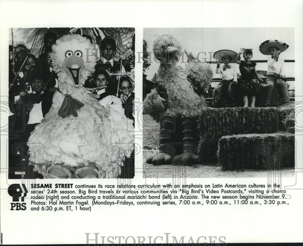 Press Photo Big Bird in scenes from the PBS series Sesame Street - tup01670 - Historic Images