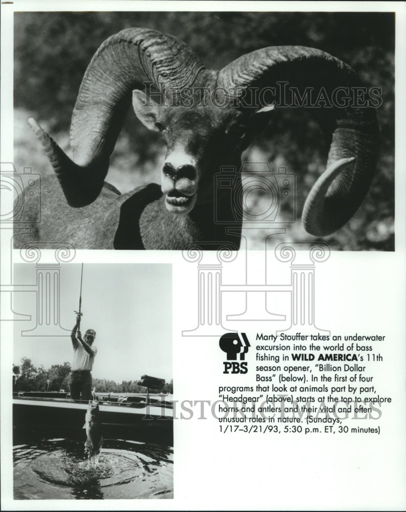 1993 Press Photo Scenes from the PBS series Wild America - tup02076 - Historic Images