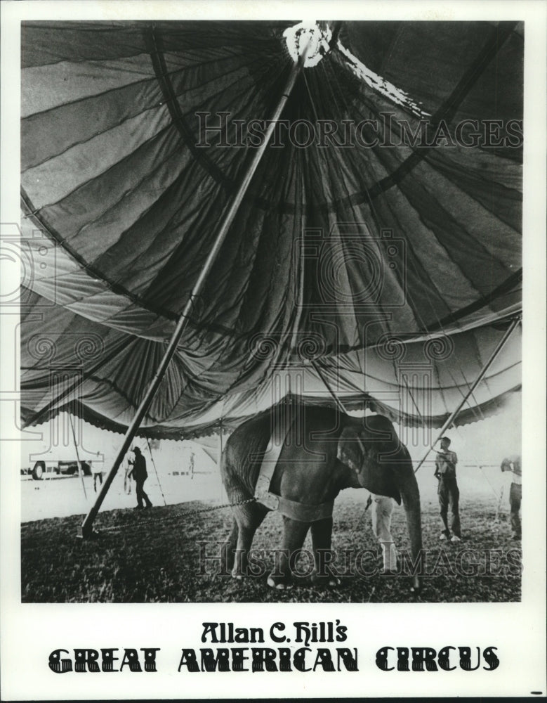 Press Photo Elephant performer in Allan C. Hill&#39;s Great American Circus - Historic Images