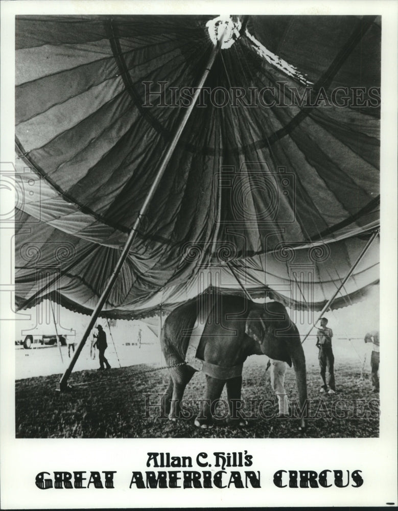 Press Photo Elephant performer in Allan C. Hill's Great American Circus - Historic Images