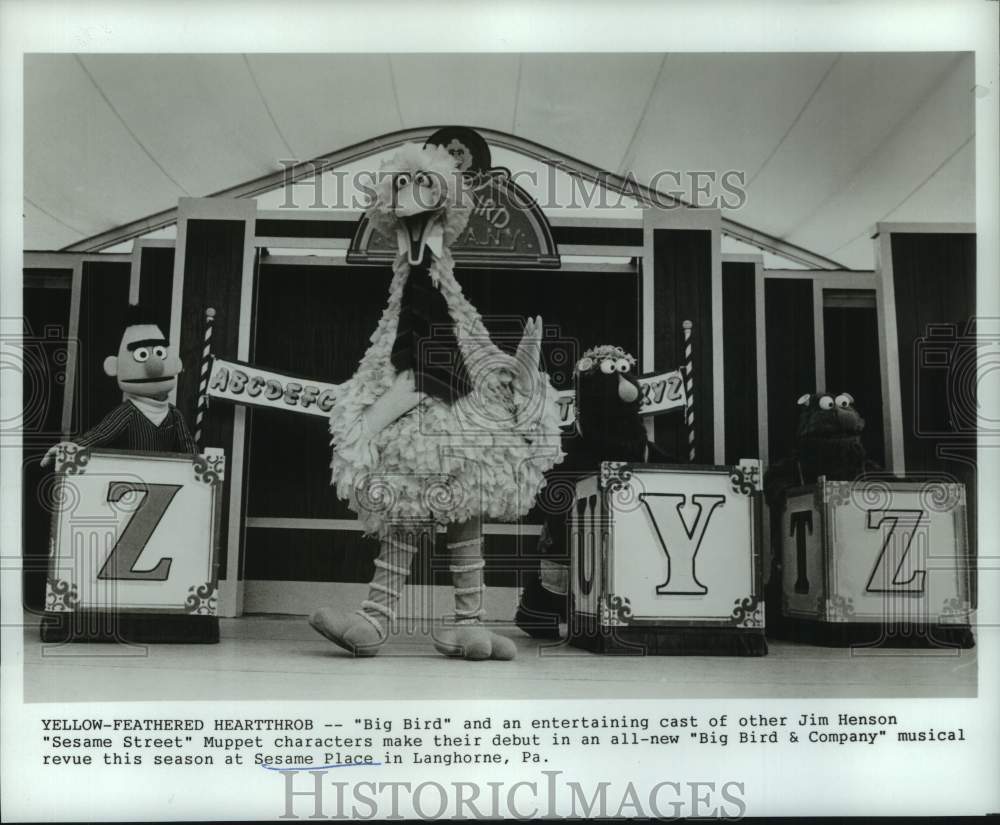 1989 Press Photo Sesame Street muppets perform at Sesame Place in Pennsylvania- Historic Images