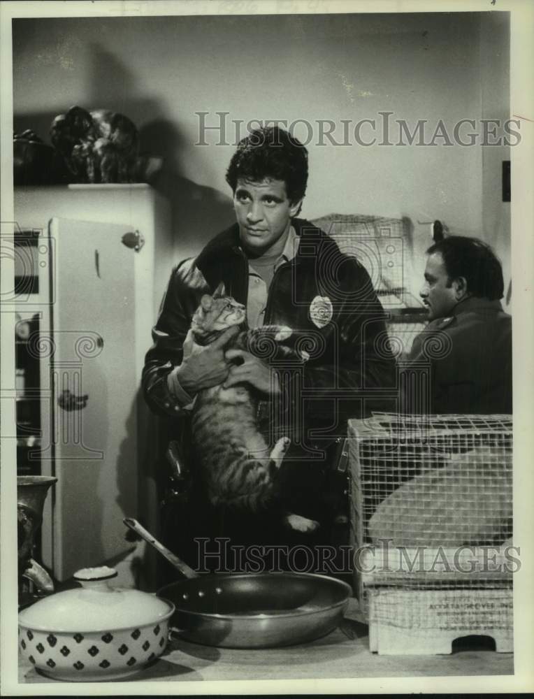 1984 Ed Marinaro stars in episode of "Hill Street Blues" on NBC-TV - Historic Images