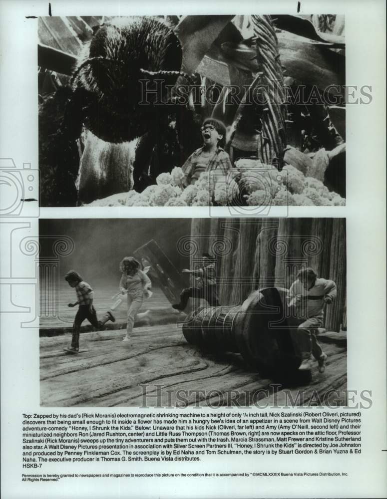 1989 Press Photo Scenes from the motion picture, &quot;Honey I Shrunk the Kids&quot; - Historic Images