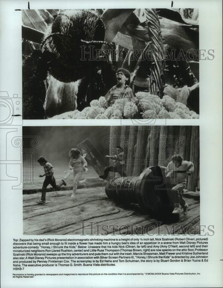 1989 Press Photo Scenes from the motion picture, "Honey I Shrunk the Kids" - Historic Images