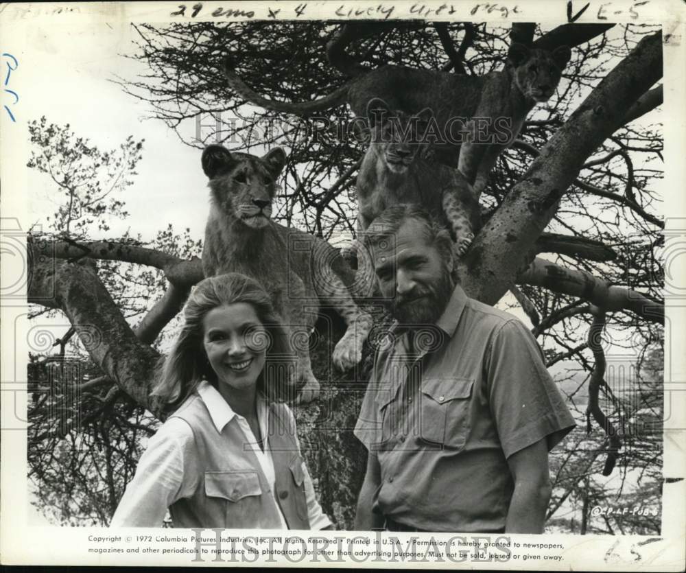 1972 Press Photo Susan Hampshire &amp; Nigel Davenport with lions in &quot;Born Free&quot; - Historic Images