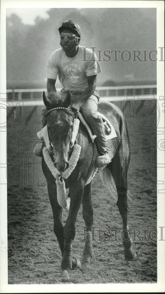1990 Press Photo LePrince, son of Seattle Slew, is shown at Saratoga Race Course- Historic Images