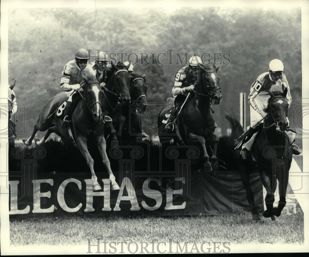 1980 Press Photo Horses leap obstacle in Steeplechase race in Saratoga, New York - Historic Images