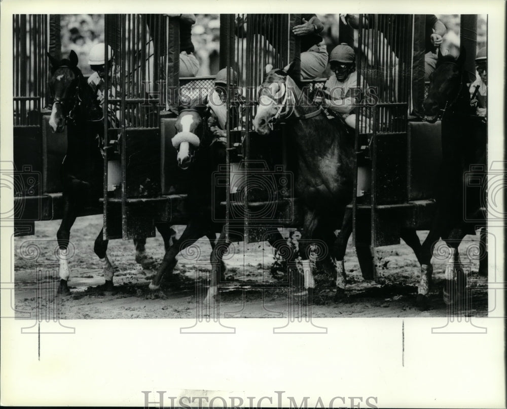 Press Photo Horses leave starting gate for race in Saratoga, New York - Historic Images
