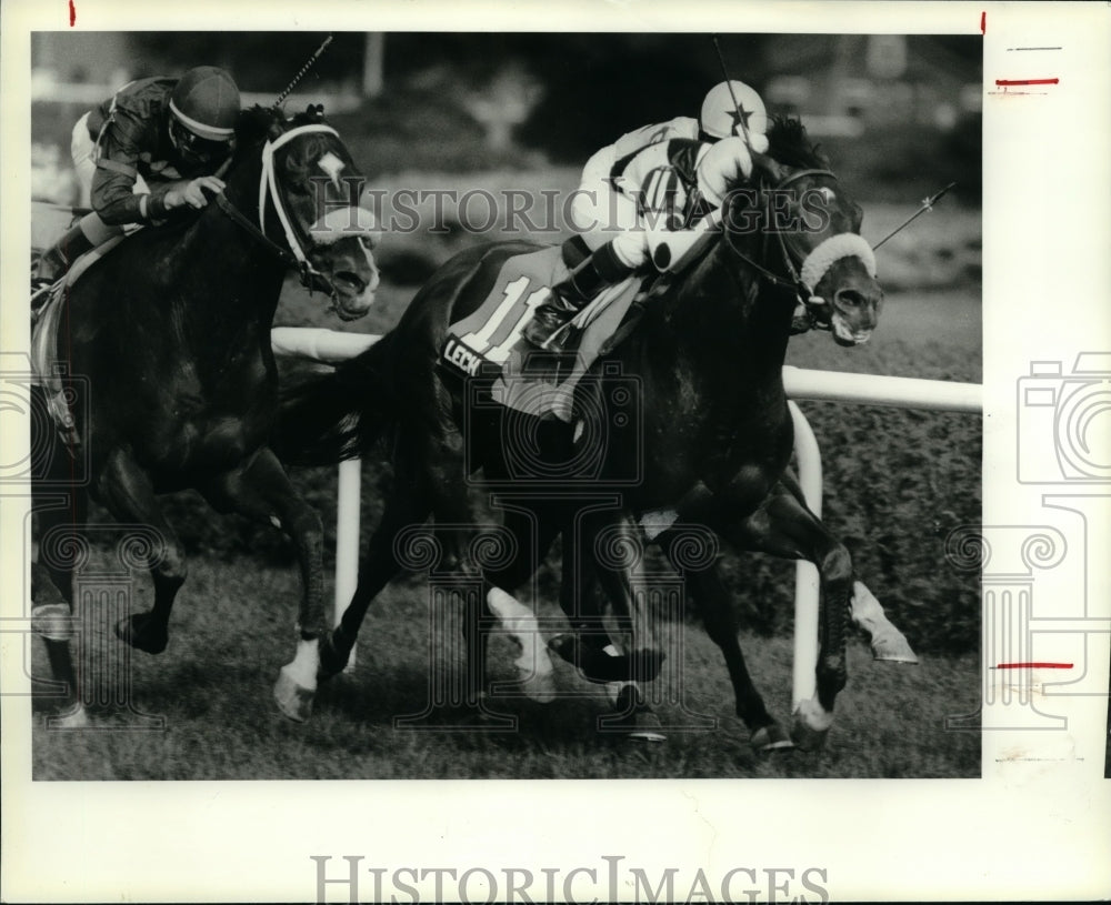 1991 Press Photo #11 Lech battles for the lead during a race at Saratoga Race- Historic Images