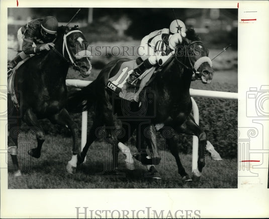 1991 Press Photo