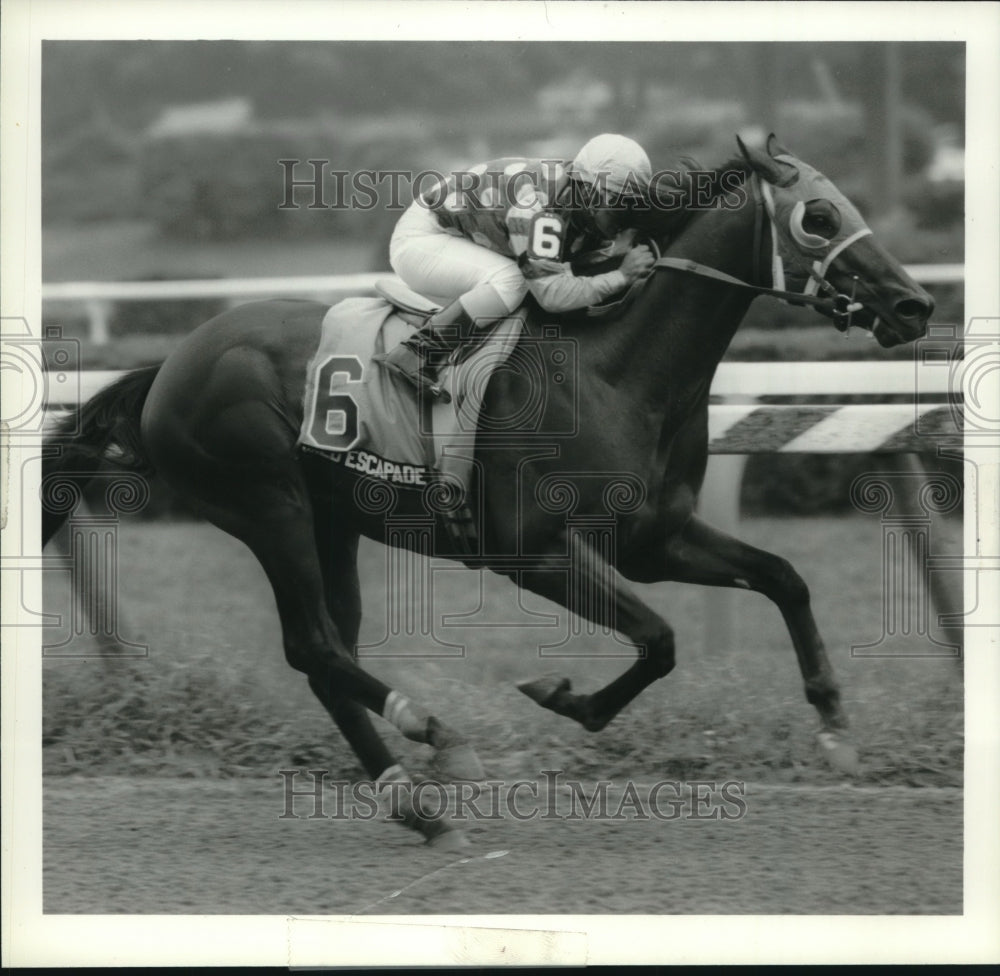 Press Photo Horse gallops down the track at Saratoga Raceway in New York - Historic Images