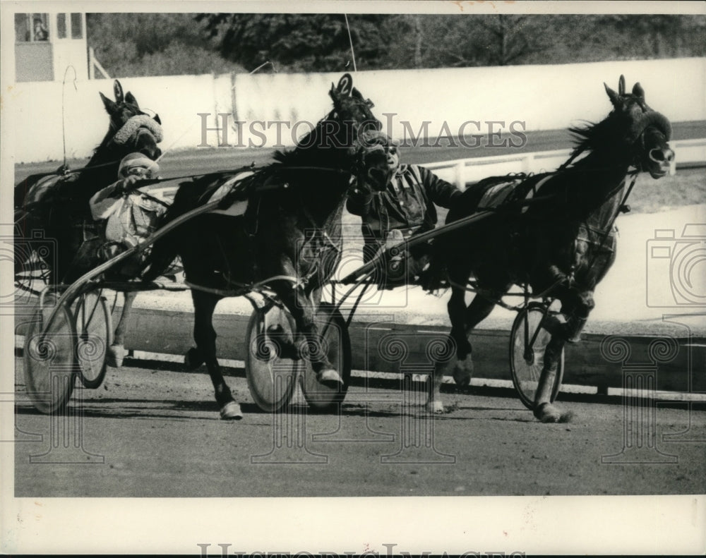 1980 Press Photo Harness race at Saratoga Race Course in New York - tus01030- Historic Images