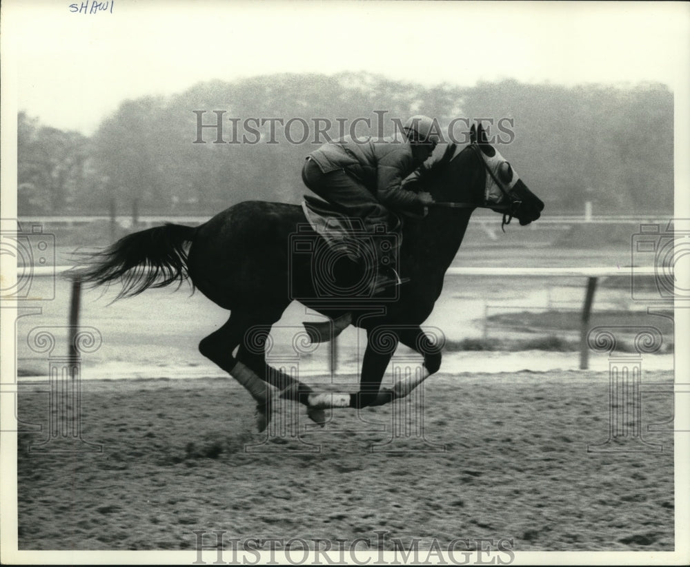 1980 Press Photo Jockey rides horse down track at Saratoga Raceway in New York - Historic Images