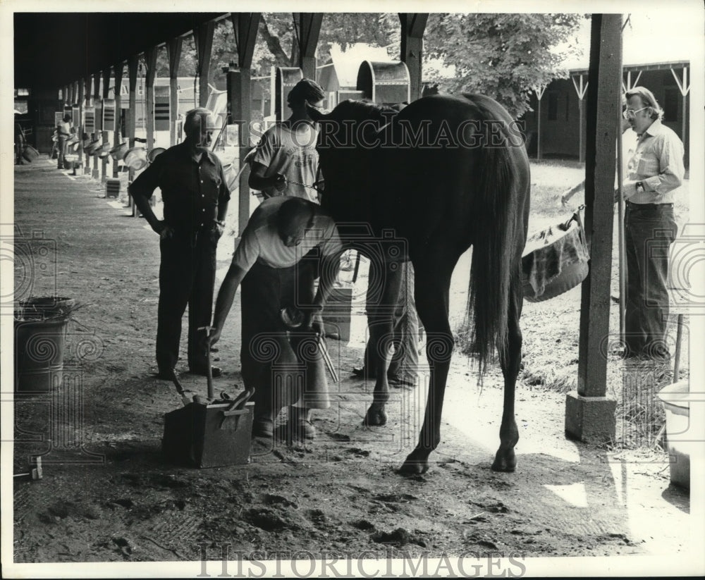 1980 Press Photo Horse getting re-shoed at Saratoga Raceway in New York- Historic Images