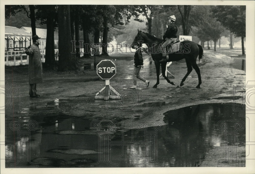 1988 Press Photo Horse &amp; jockey return to stables at Saratoga Raceway, New York - Historic Images