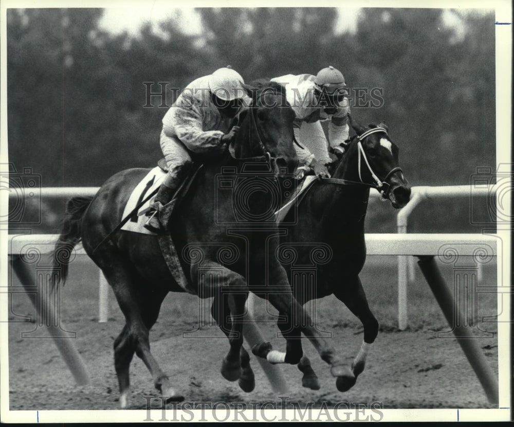 1990 Press Photo Horses race down the stretch at Saratoga Raceway in New York- Historic Images