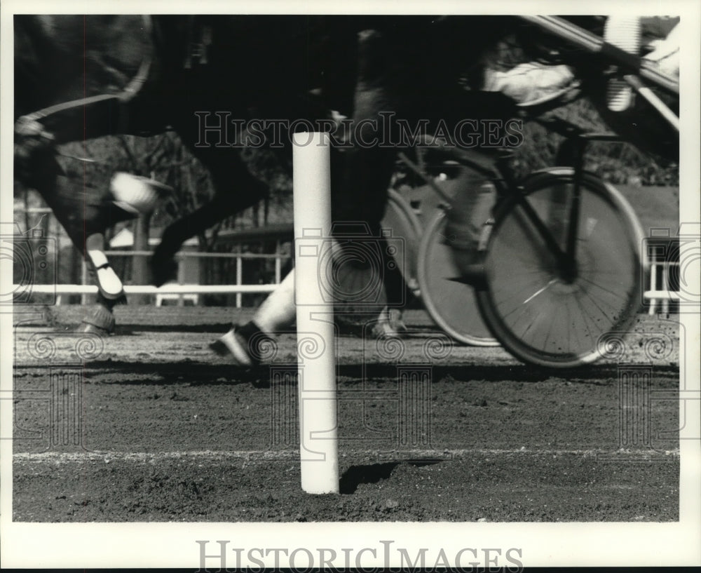 1990 Press Photo Horse passes "rail-less rail" at Saratoga Raceway in new York - Historic Images