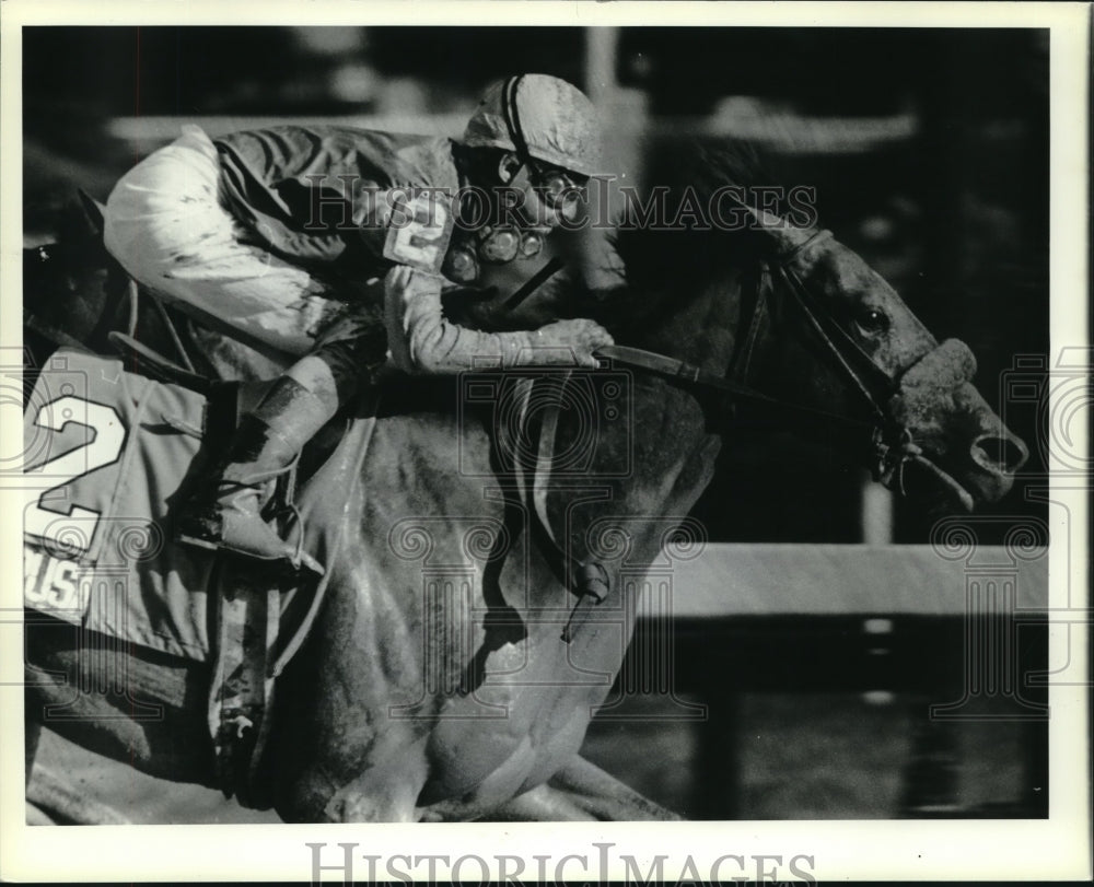 1987 Press Photo Crusader Sword wins The Hopeful at Saratoga Raceway, New York - Historic Images