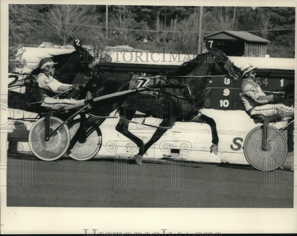 1980 Press Photo Harness race at Saratoga Raceway in New York - tus01093 - Historic Images