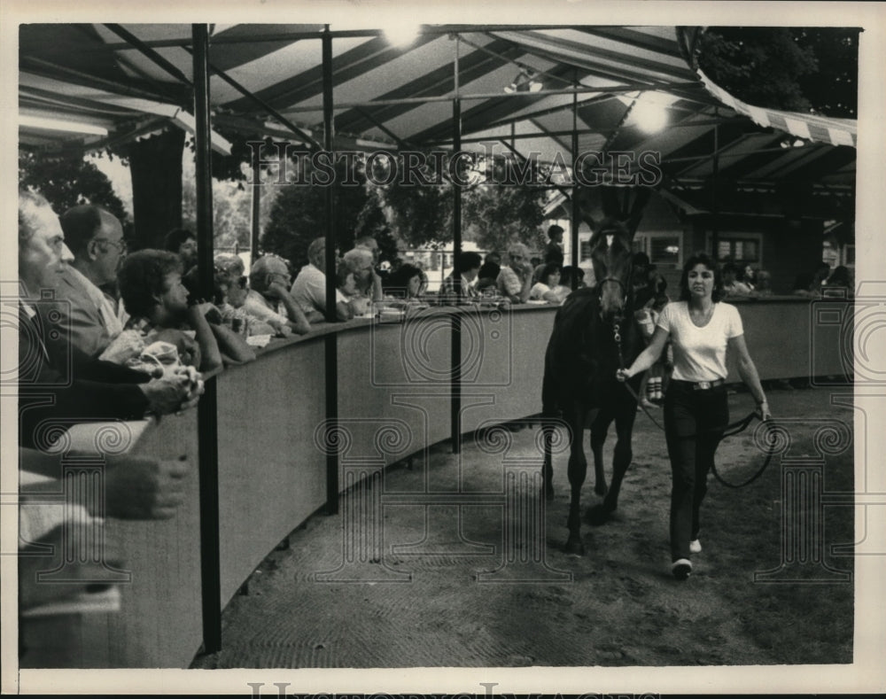 1985 Press Photo Horse paraded in ring at auction in Saratoga, New York - Historic Images