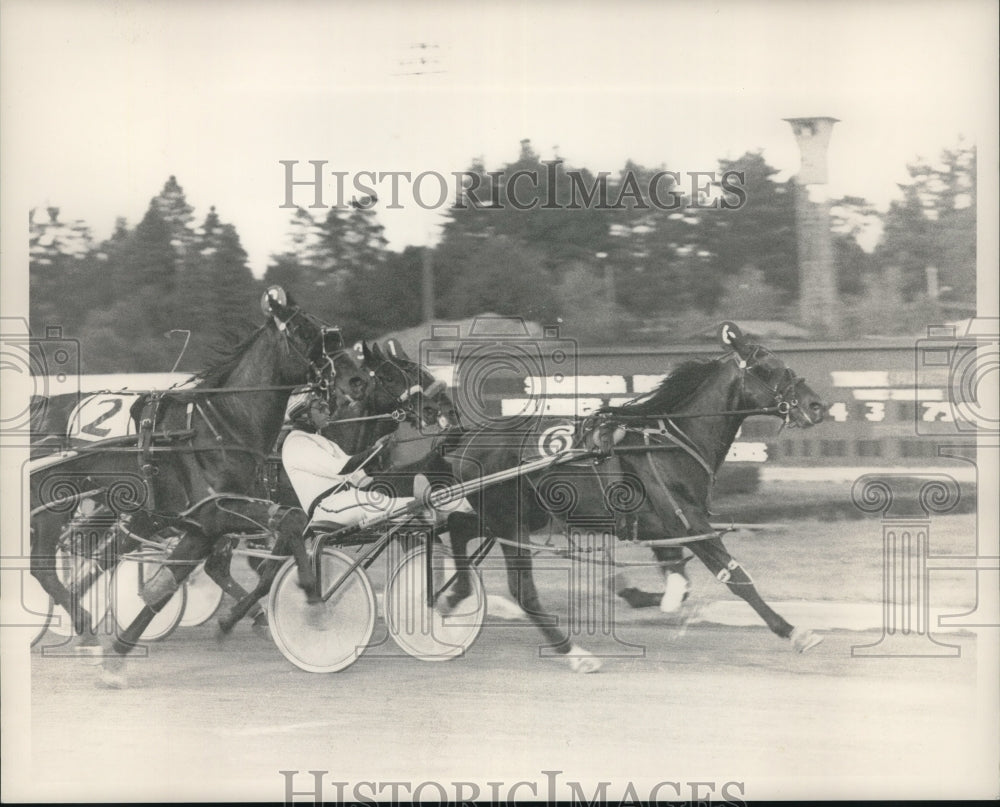 1988 Press Photo Hampton Classic wins harness race at Saratoga Raceway, New York- Historic Images