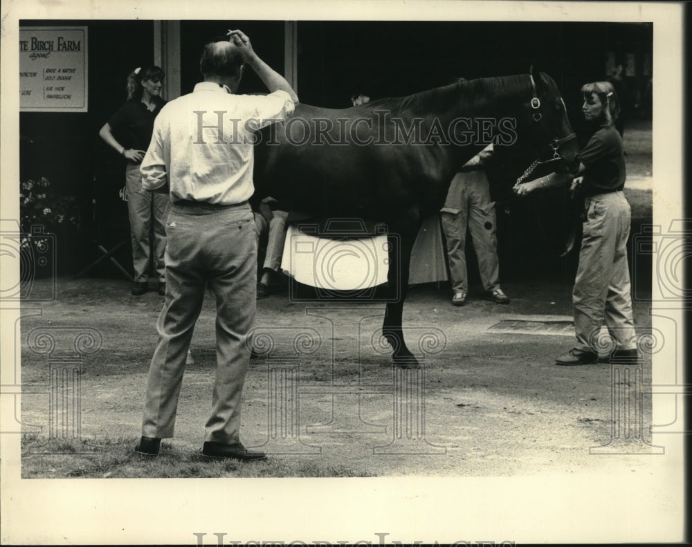 1980 Press Photo Dr Robert Crowhurst scratches his head as he looks at horse - Historic Images