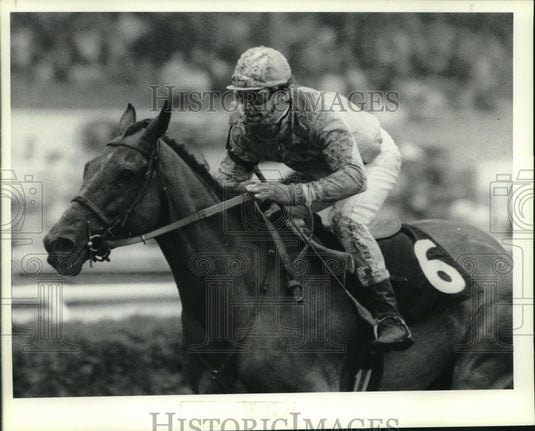 1987 Press Photo