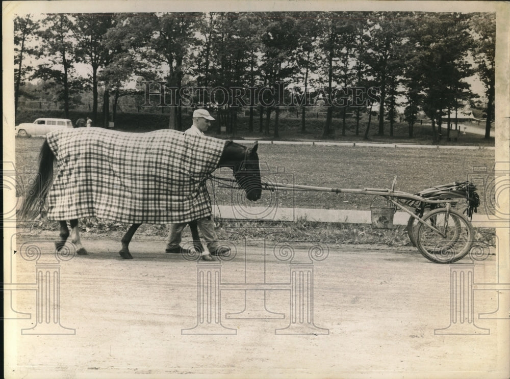 1961 Man walks horse with blanket at Saratoga Raceway, New York - Historic Images