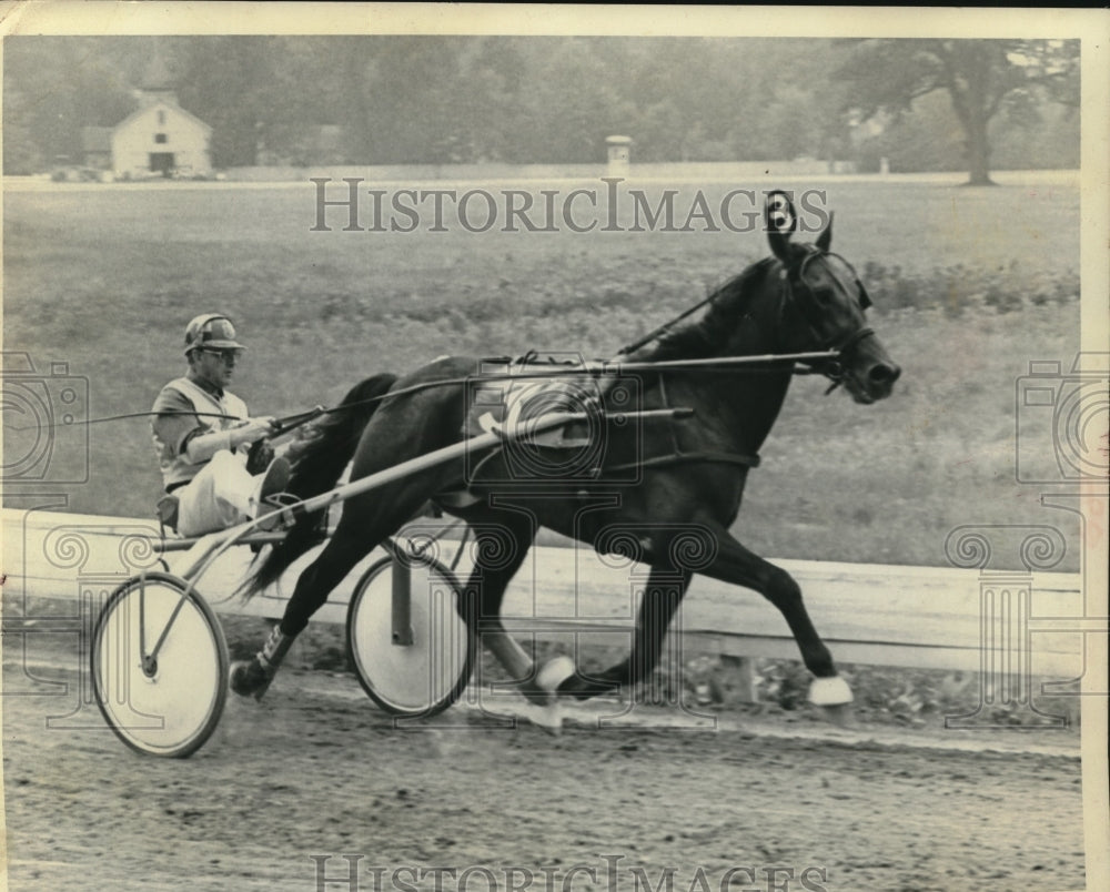 1976 Press Photo Del Miller driving horse at Saratoga Harness Track, New York- Historic Images
